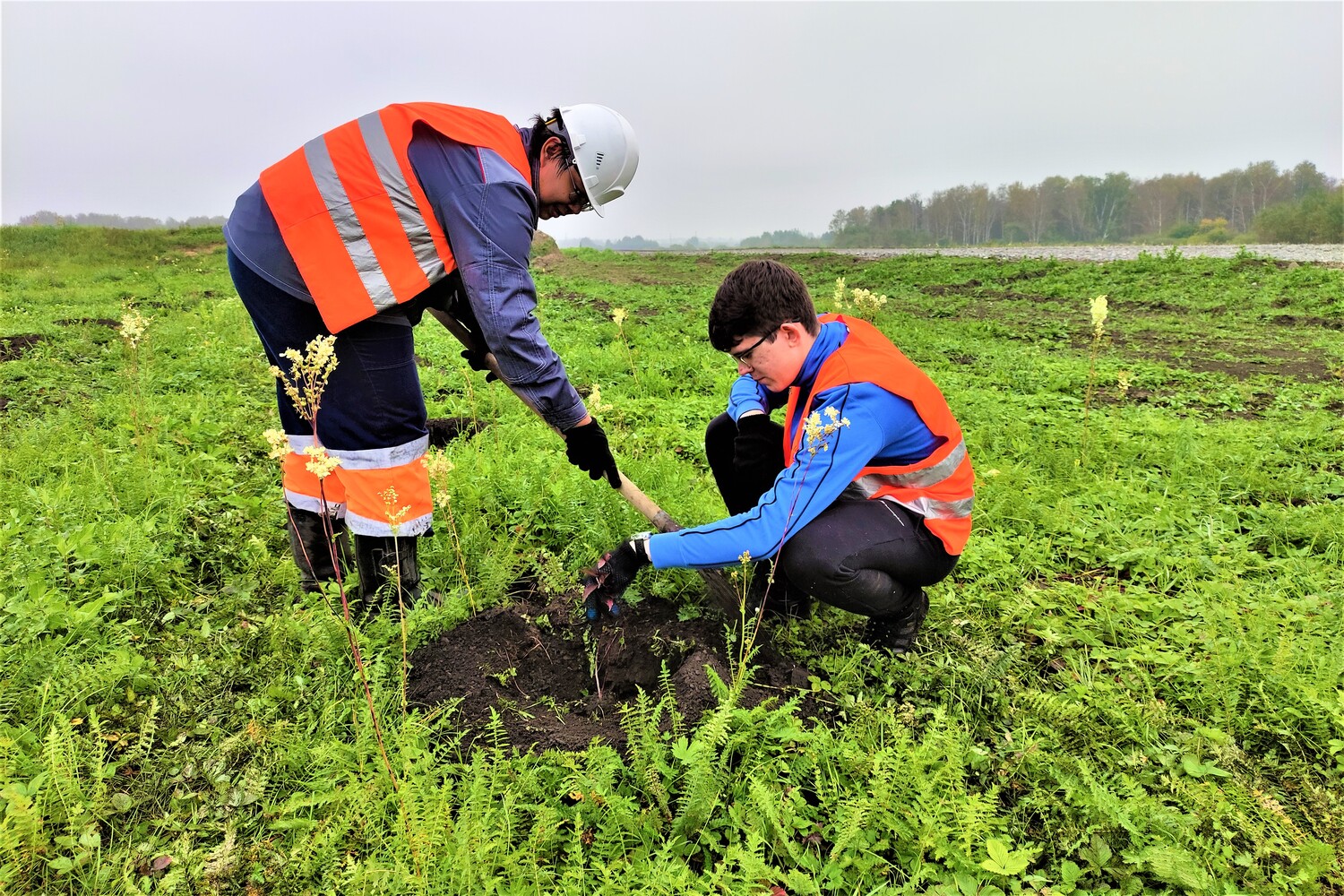 200 молодых деревьев высадил разрез «Пермяковский» в Беловском округе
