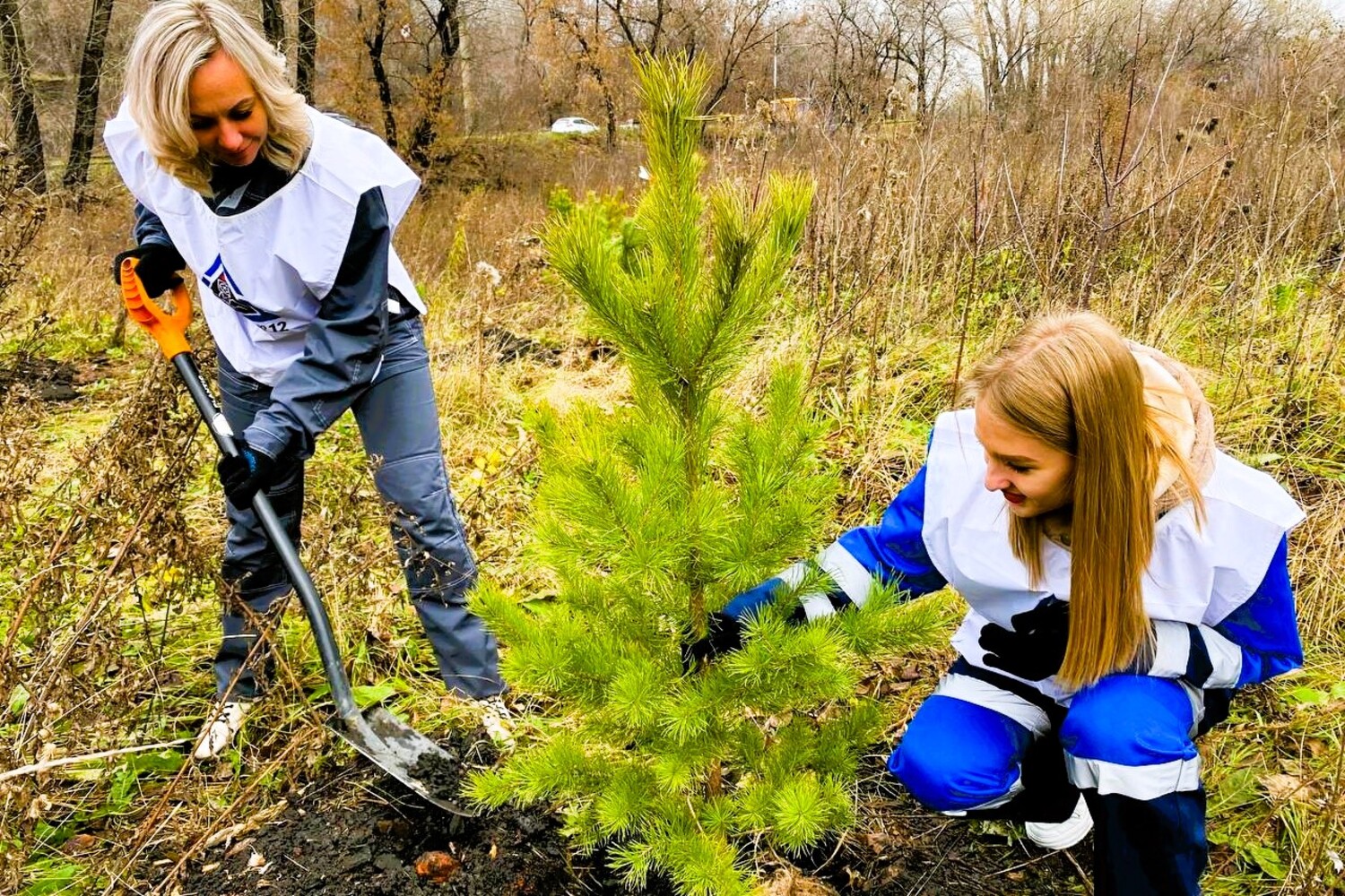Более 10 тыс. деревьев высадили специалисты «Шахты №12» в 2023 году в Прокопьевском и Киселевском округах