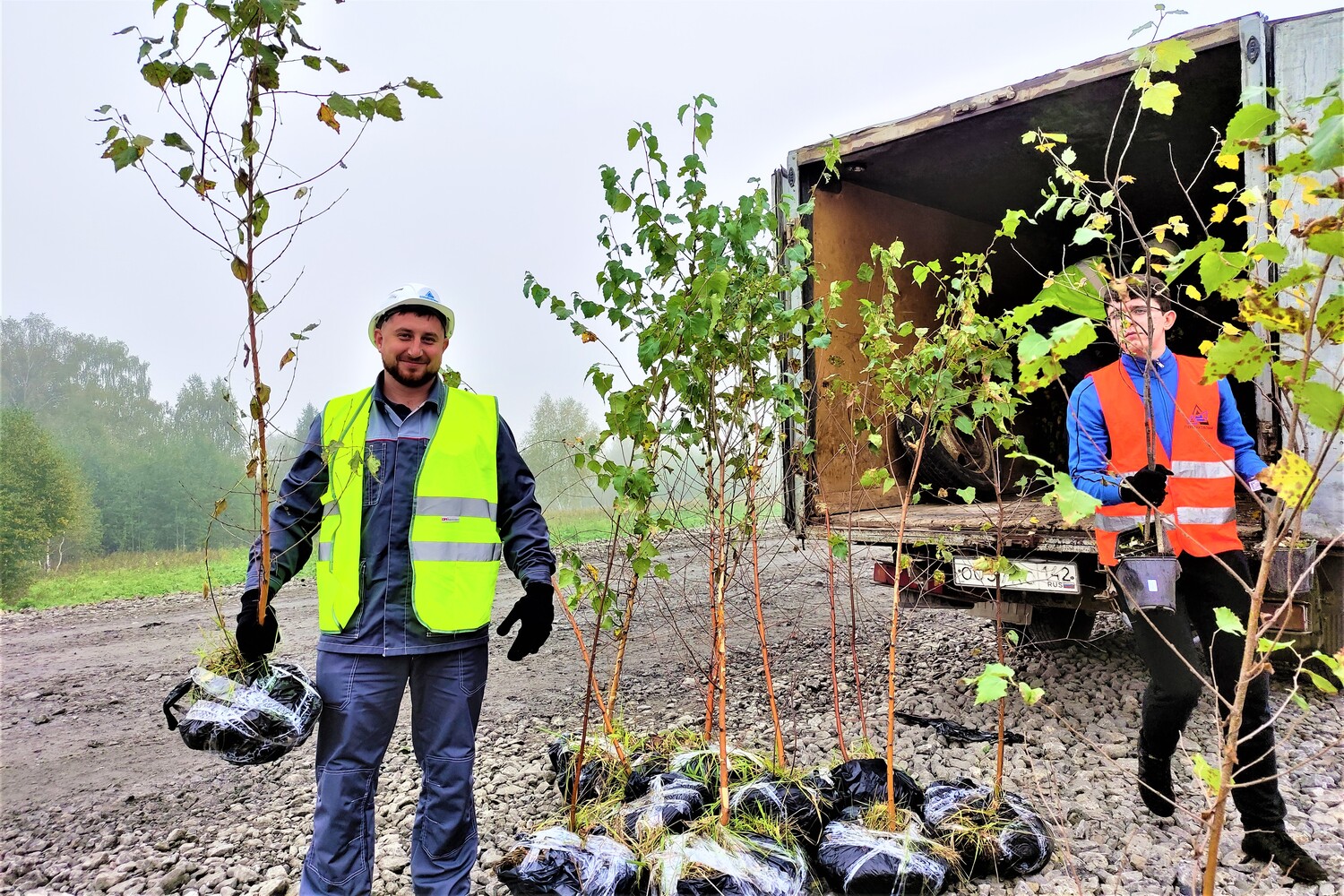 200 молодых деревьев высадил разрез Пермяковский в Беловском округе. Стройсервис