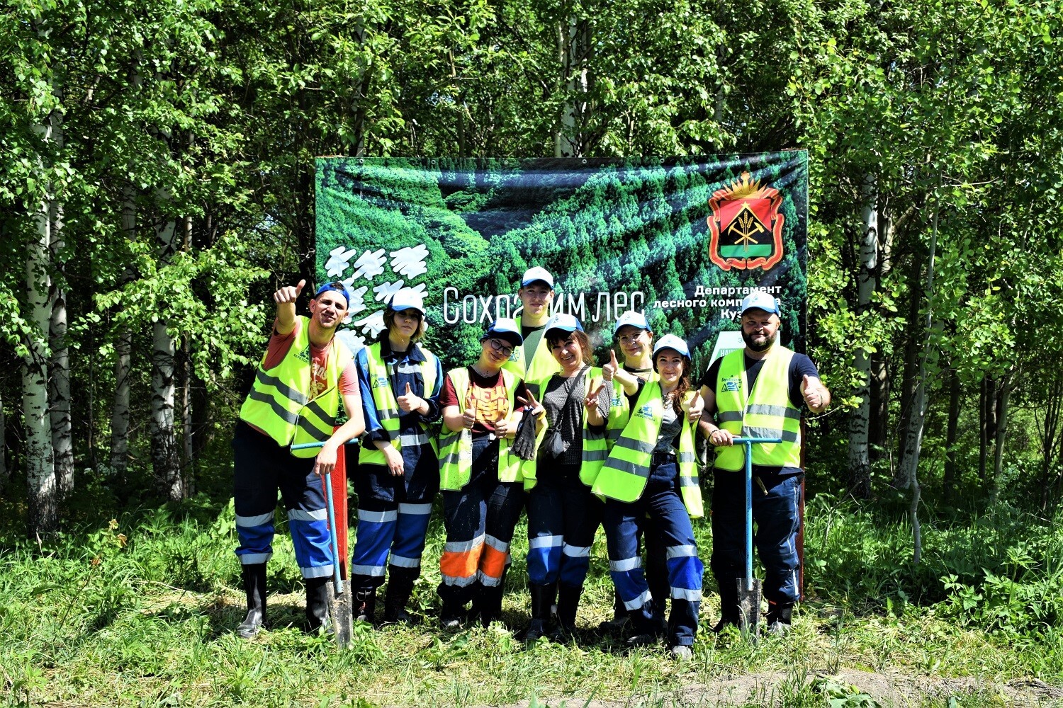 Более 70 тысяч деревьев разрез Березовский высадил в Новокузнецком муниципальном округе в 2023 году. Стройсервис
