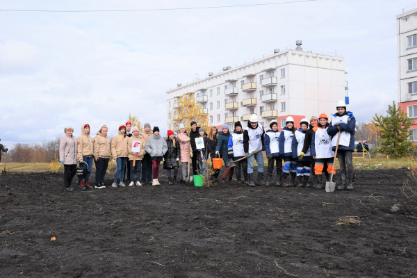 Разрез «Березовский» высадил хвойно-липовую аллею в Новокузнецком районе