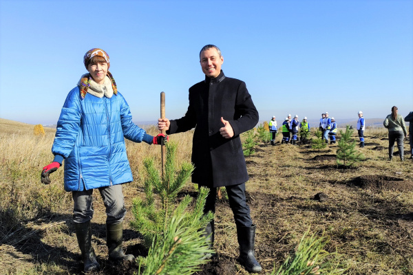 270 тысяч деревьев высадили в Кузбассе угледобывающие предприятия АО «Стройсервис» в 2021 году