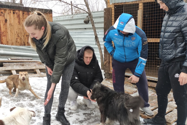 Совет работающей молодежи разреза «Пермяковский» помог приюту для животных
