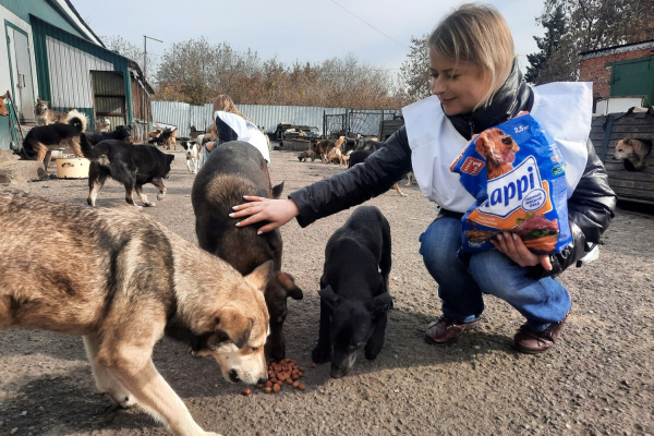 Сотрудники «Шахты №12» привезли более 150 кг корма в прокопьевский приют для животных