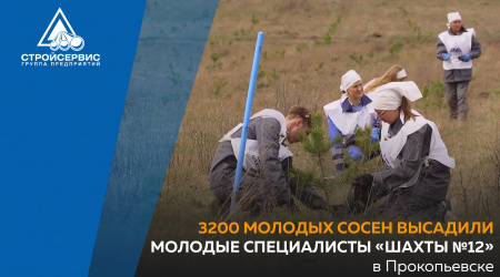 3200 молодых сосен высадили молодые специалисты «Шахты №12» в Прокопьевске