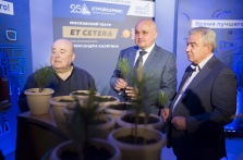 Высадка деревьев