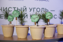 Высадка деревьев