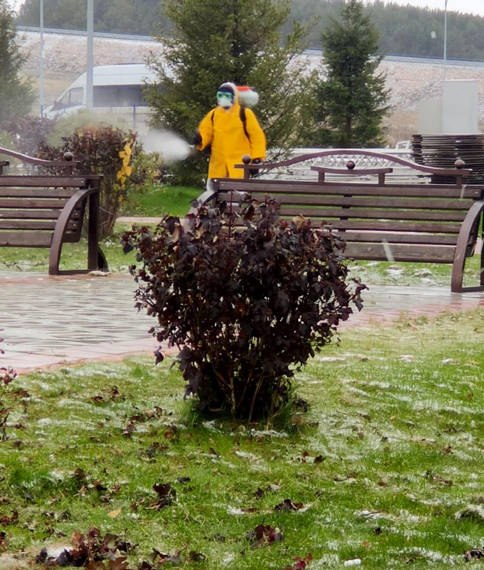 Кузбасские ученые контролируют деревья на Салаирских плесах.. Стройсервис