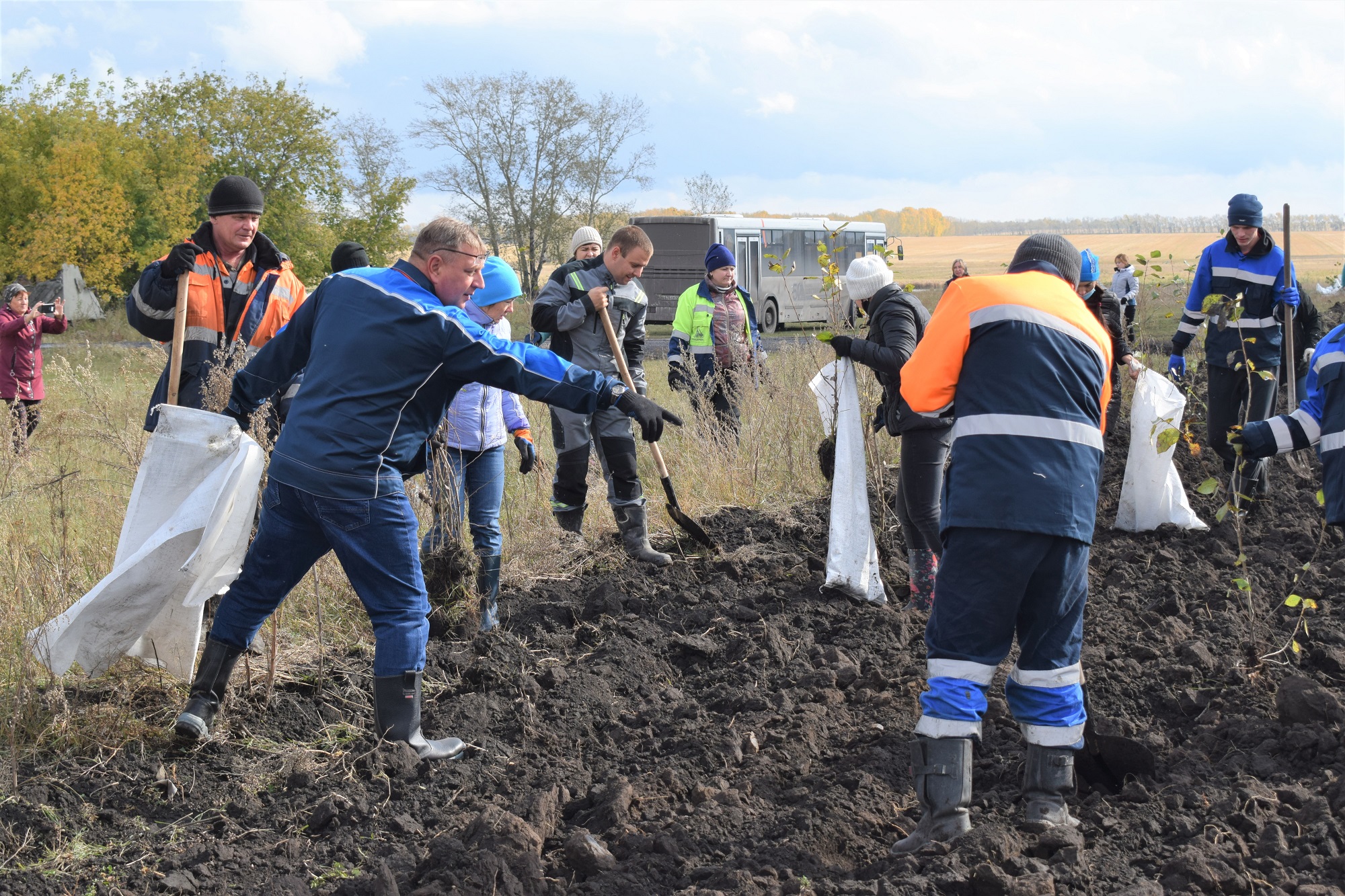 300 саженцев деревьев высадил разрез Шестаки в деревне Беловского района. Стройсервис