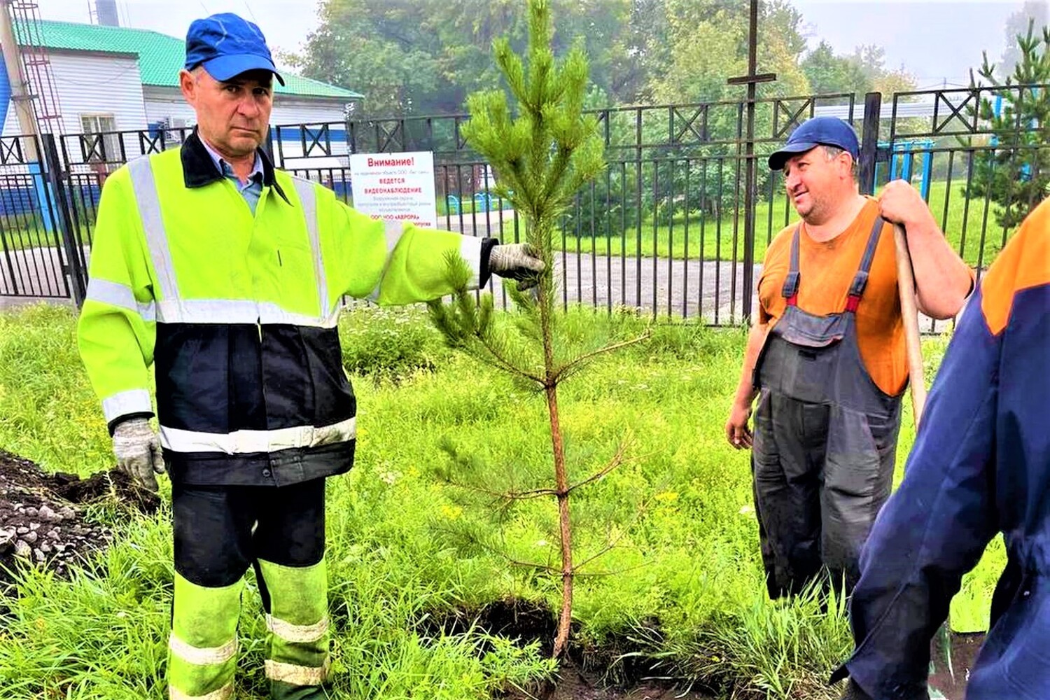 Более 30 деревьев высадили специалисты Белтранса в рамках всероссийской акции Сохраним лес. Стройсервис