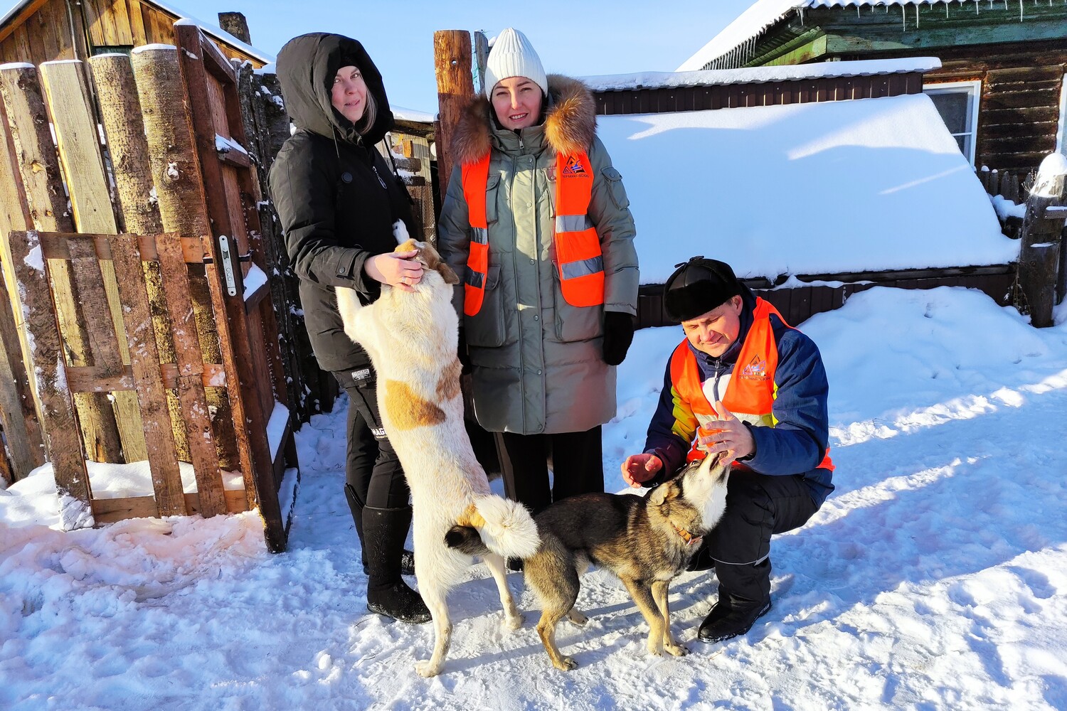 Работники разреза Пермяковский доставили более 100 кг корма в приют для бездомных животных. Стройсервис